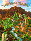 Organic Moringa Seeds